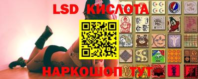 стаф Камышлов