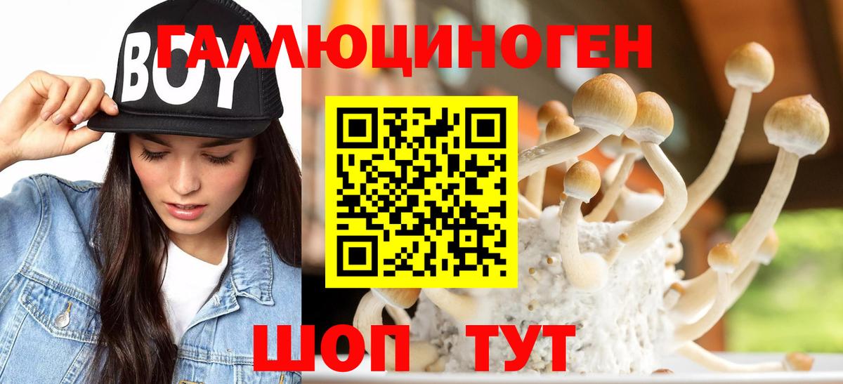 Кызыл  Галлюциногенные грибы Psilocybe  Вход с VPN 