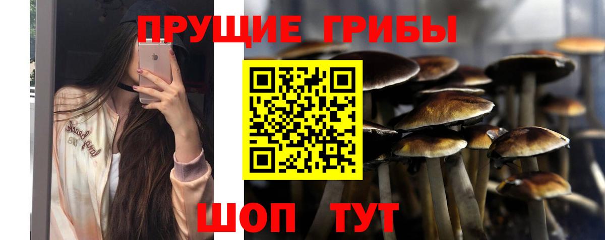 Псилоцибиновые грибы прущие грибы Кызыл